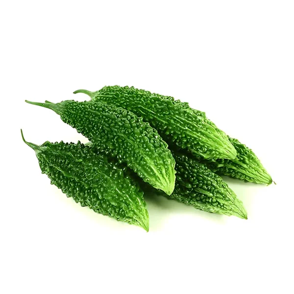 BITTER GOURD