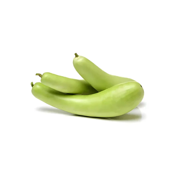 BOTTLE GOURD