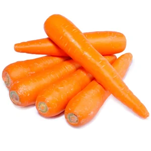 CARROT CHINA