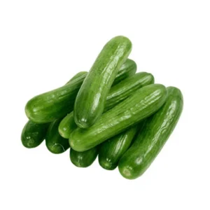 FARMI CUCUMBER