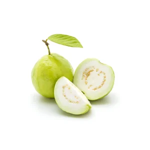 GUAVA