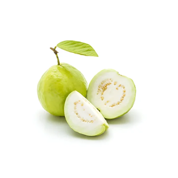 GUAVA