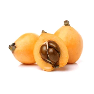 LOQUAT