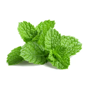 MINT (Bunch)