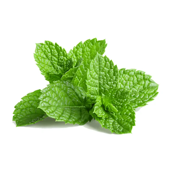 MINT (Bunch)