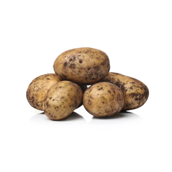 POTATO  (ALOO)