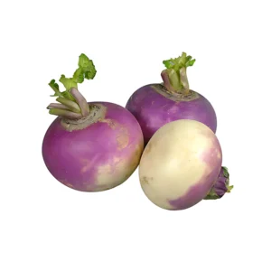 TURNIP